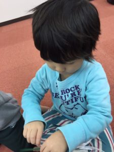 20161118_9716