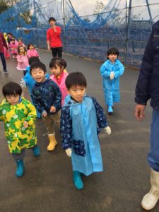 農業体験