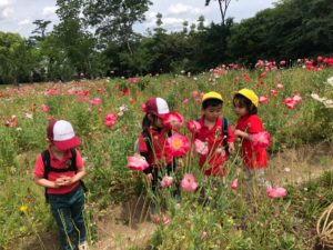 春の遠足　2019